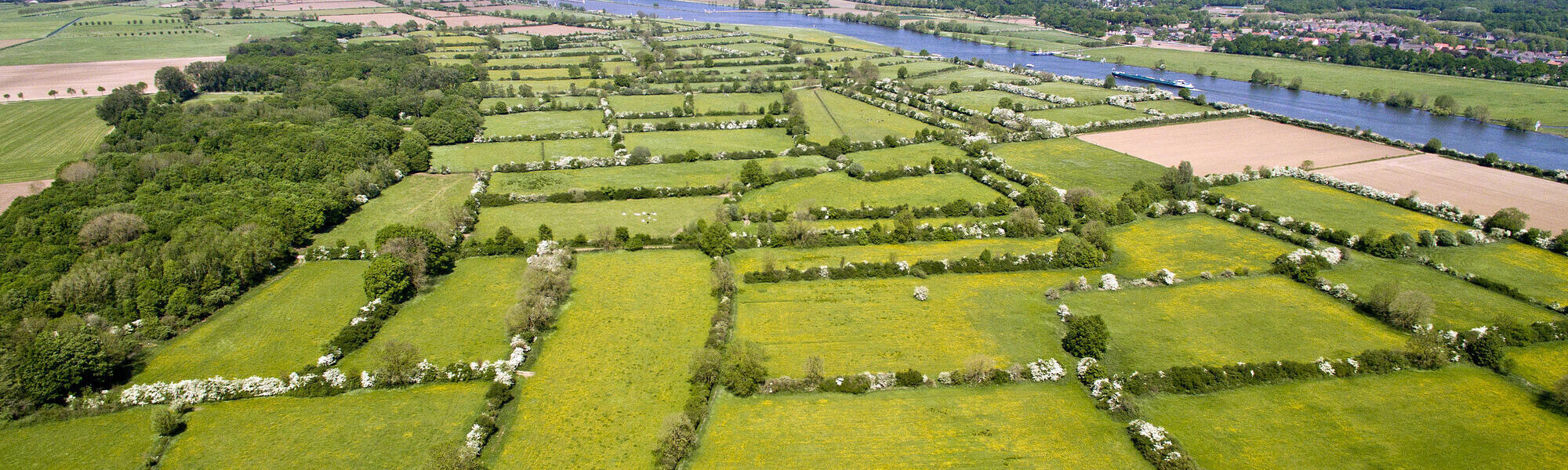 Het oudste Cultuurlandschap van Nederland