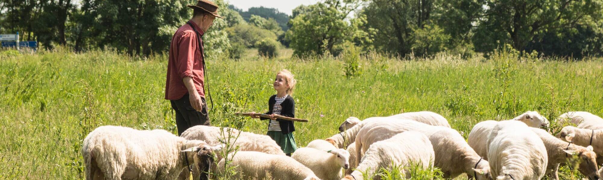 Het oudste Cultuurlandschap van Nederland