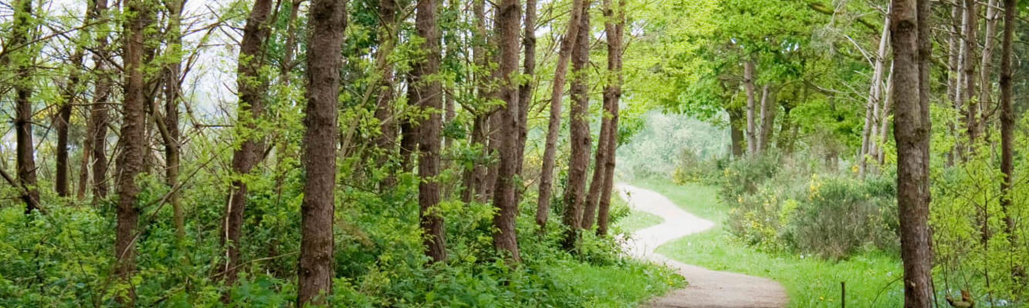 Bijzondere landgoederen in mooie natuur