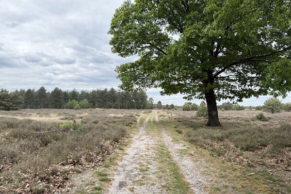 Een natuurlijke lappendeken