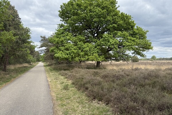 Een natuurlijke lappendeken