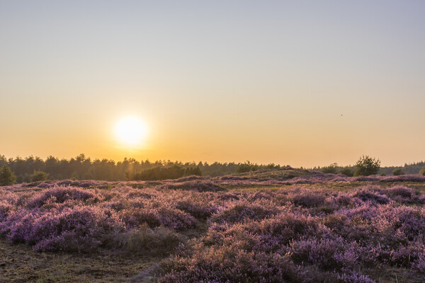 Een natuurlijke lappendeken