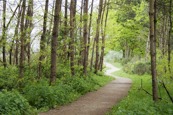 Bijzondere landgoederen in mooie natuur