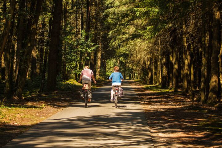 Fietsvakantie Land van Cuijk
